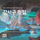 금해수산 | 방어 제철 시세 강서수산시장 횟집 강서구 항구수산