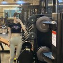 선샤인피티샵 이미지