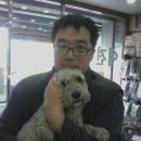 더독 동물병원 이미지