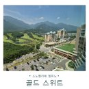 소노펠리체 델피노 | 소노펠리체 델피노 내돈내산 후기, 골드스위트 설악마운틴뷰 숙박기