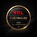 월드컵스포츠 | TCL SQD-Mini LED TV, C8L 월드컵 중계 스포츠TV 사용 후기, 거실에서 즐기는 홈 응원