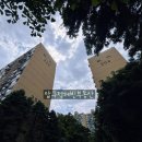 압구정-204 이미지