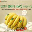 바나나콩 - 용인시 기흥구 평촌2로1번길 19 | 바나나콩