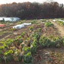 다경농장 이미지