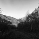 정선 둥지펜션 이미지