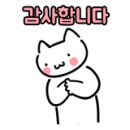 벨라지다 이미지