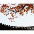 장안공원 이미지