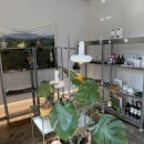 사   포 | 대전 대형카페 추천 목련뷰 선화동주택개조 감성느좋카페 [포달러] 버터떡 후기