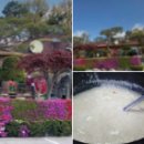 여주-0092 이미지