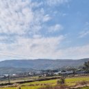 우미골맛집 이미지