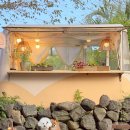 오렌지 애견카페 이미지