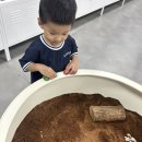 양주곤충박물관 | 양주 곤충박물관 후기｜아이랑 가기 좋은 실내 체험학습 두리랜드 옆 곤충전시