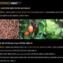 초코랩 티스토리