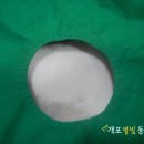 개포별빛동물병원 | [강남/양재동/개포동 동물병원]7개월 샴 암컷고양이의 중성화수술/최소절개/당일퇴원 -[개포별빛동물병원]