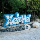 백천자전거길R | 칸쿤 스칼렛아르떼 셀하(XelHa) 후기 꿀팁