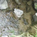 전재원공인중개사사무소 이미지