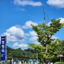 팝콘하우스펜션2 | 여자 혼자 국내여행 프립 혼펜 팝콘하우스 N번째 후기