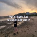 부안상록해수욕장 두포마을 갯벌체험하면서 바지락캐기 / 갯벌체험펜션