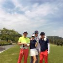 밀리언스크린골프 이미지