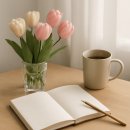 정찬권에이블치과의원 | 동대문구치과 선택 전 치아시림 원인과 관리 루틴 정리