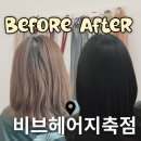 지축로 | [지축미용실 1등 살롱] 비브헤어 지축점 신다연부원장 블랙염색 후기