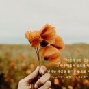 세상의모든것