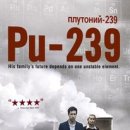 239 이미지