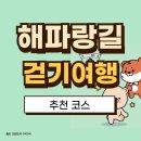 &#39;25,02,08/해파랑길(삼척,호산터미널~임원항~용화해변) 이미지