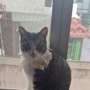 동원초등학교 이미지