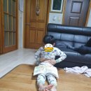 친정찬스