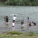 별따라꽃따라 이미지