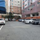 시도 | 세화병원 난임병원 7과 정하은원장님 배란유도제 배란유도주사 다낭성 자연임신시도 후기