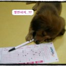 용원동물병원 이미지