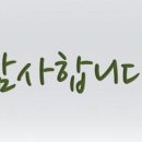 도리상조 이미지