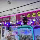 속초뽑기방 이미지
