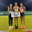 경주시청-3 이미지