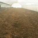 장해농장 이미지