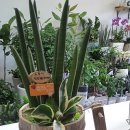 백운2동주민센터 이미지