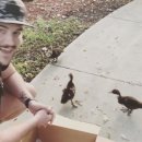 다시오리 이미지