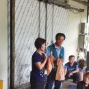 감물농장 이미지