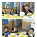 미니롤김밥
