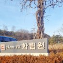 화림원 | [화성] 화성 한옥카페 안산 한옥카페 애견동반 카페추천 화림원 *내돈내산후기*