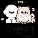 잘어울리개 이미지
