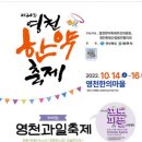 영천 한약축제 10/12~10/16 이미지