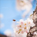 학운공원 이미지