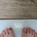 프로젝트핏 | 다이어트 정체기 탈출 프로젝트! 핏그램 내돈내산 2주 먹어본 솔직 후기