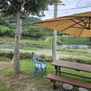 개울달천 이미지