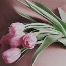 이건한의원 이미지