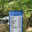 부산 계곡식당, 평상에서 신선놀음 즐기는 만덕 메아리산장!(ft. 백숙)