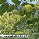 배감 이미지